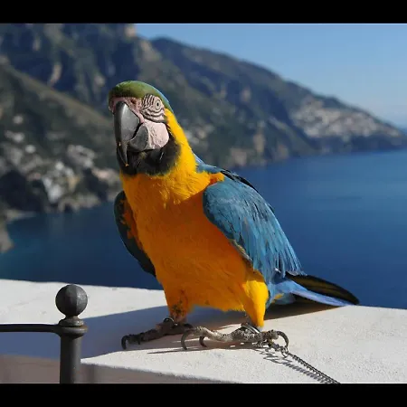 Briganti Seaview Terrace 4*