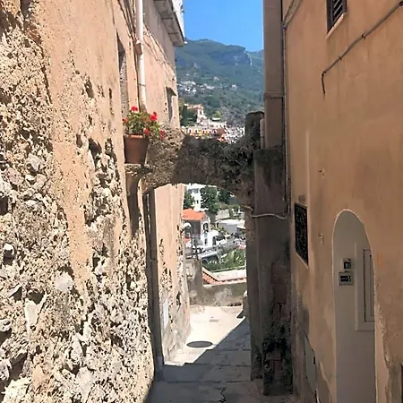 Briganti