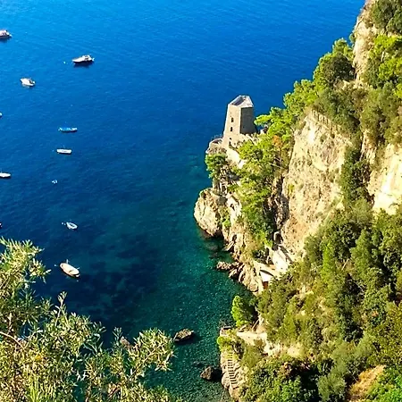 Briganti