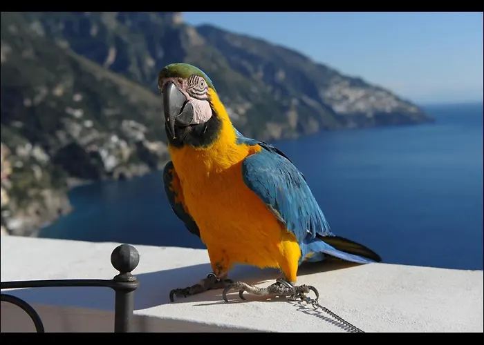 Briganti Exclusive Huge Seaview Terrace 4*